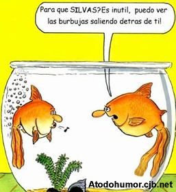 pescadosschiste1